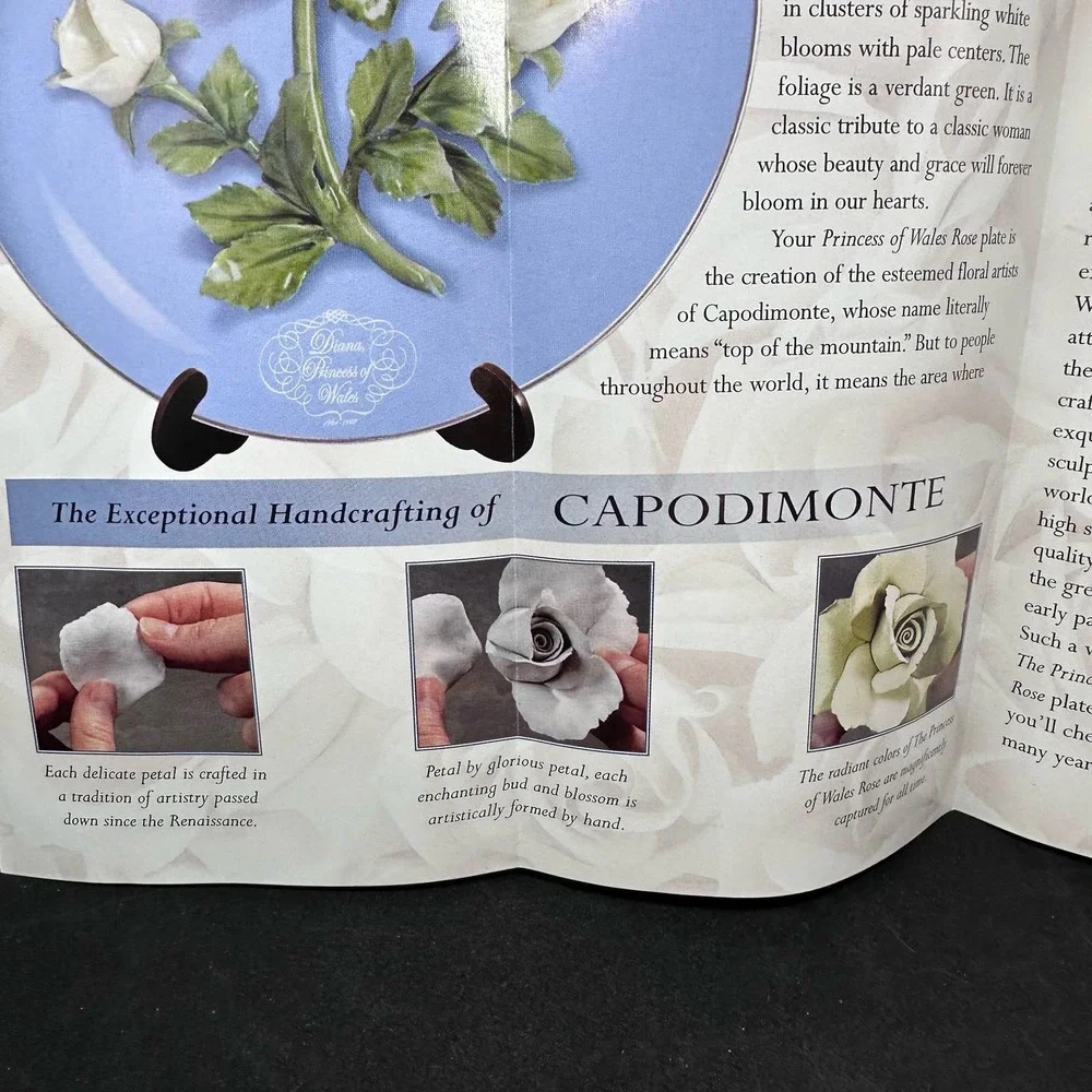 The Princess‎ Diane of Wales Rose Collectors Porcelain Plate Platinum bordered